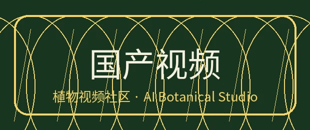 国产视频